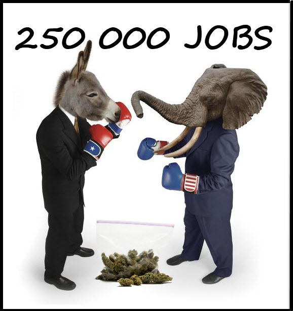 250000 CANNABIS JOBS IN THE USA